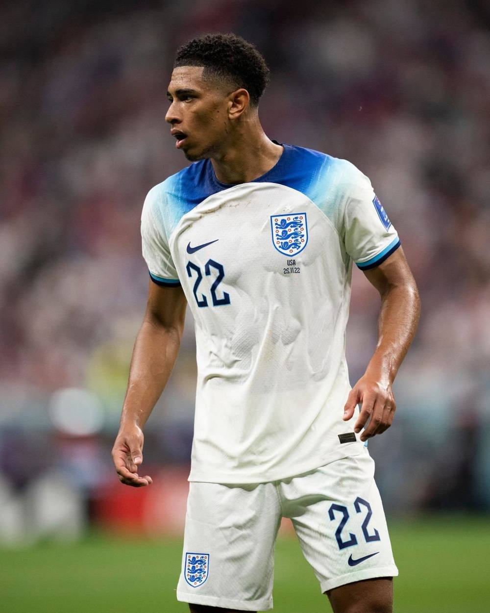 损交